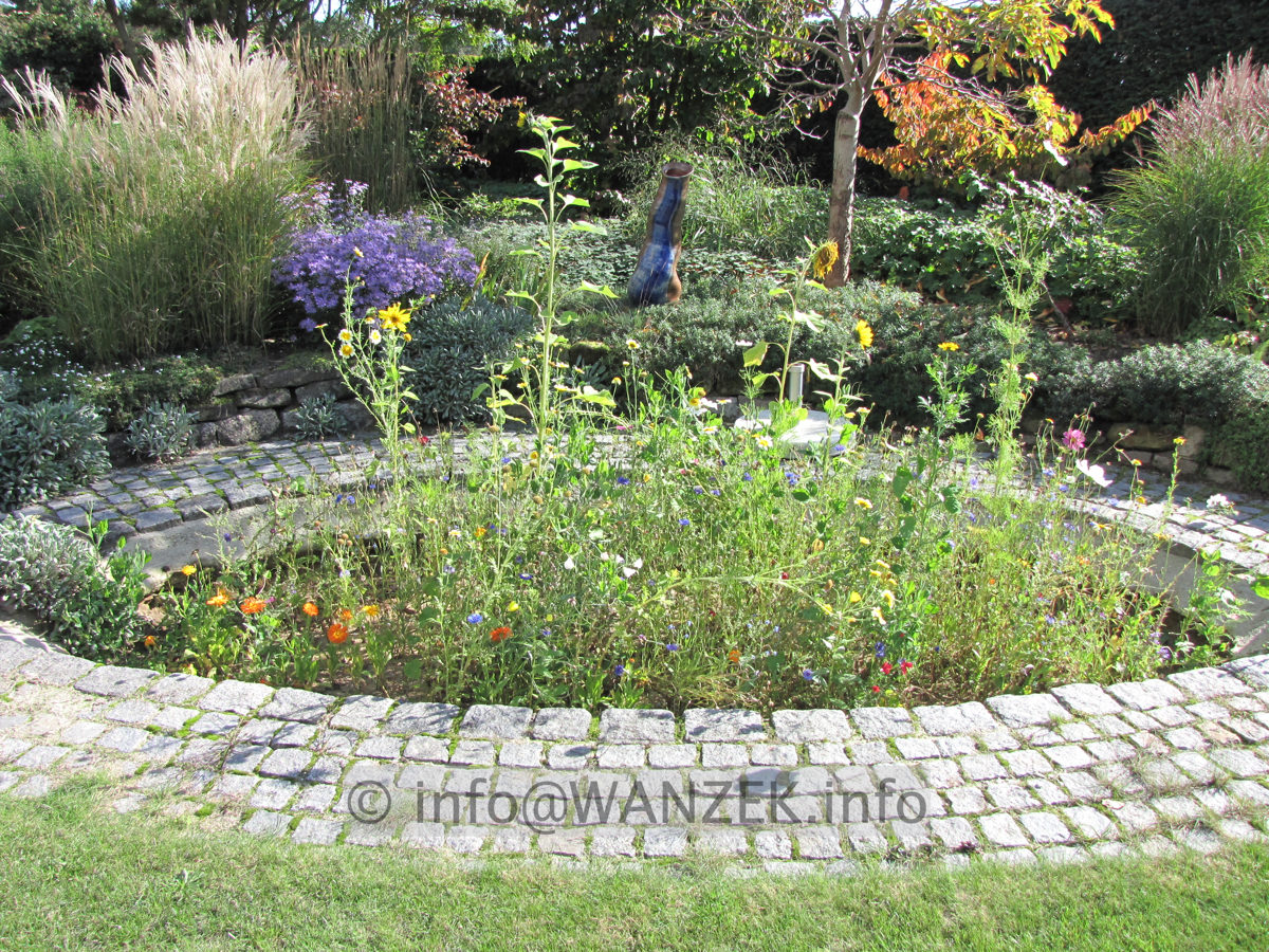 Stimmung Spaetsommer 01.JPG